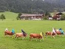 fewo-itter-(2)